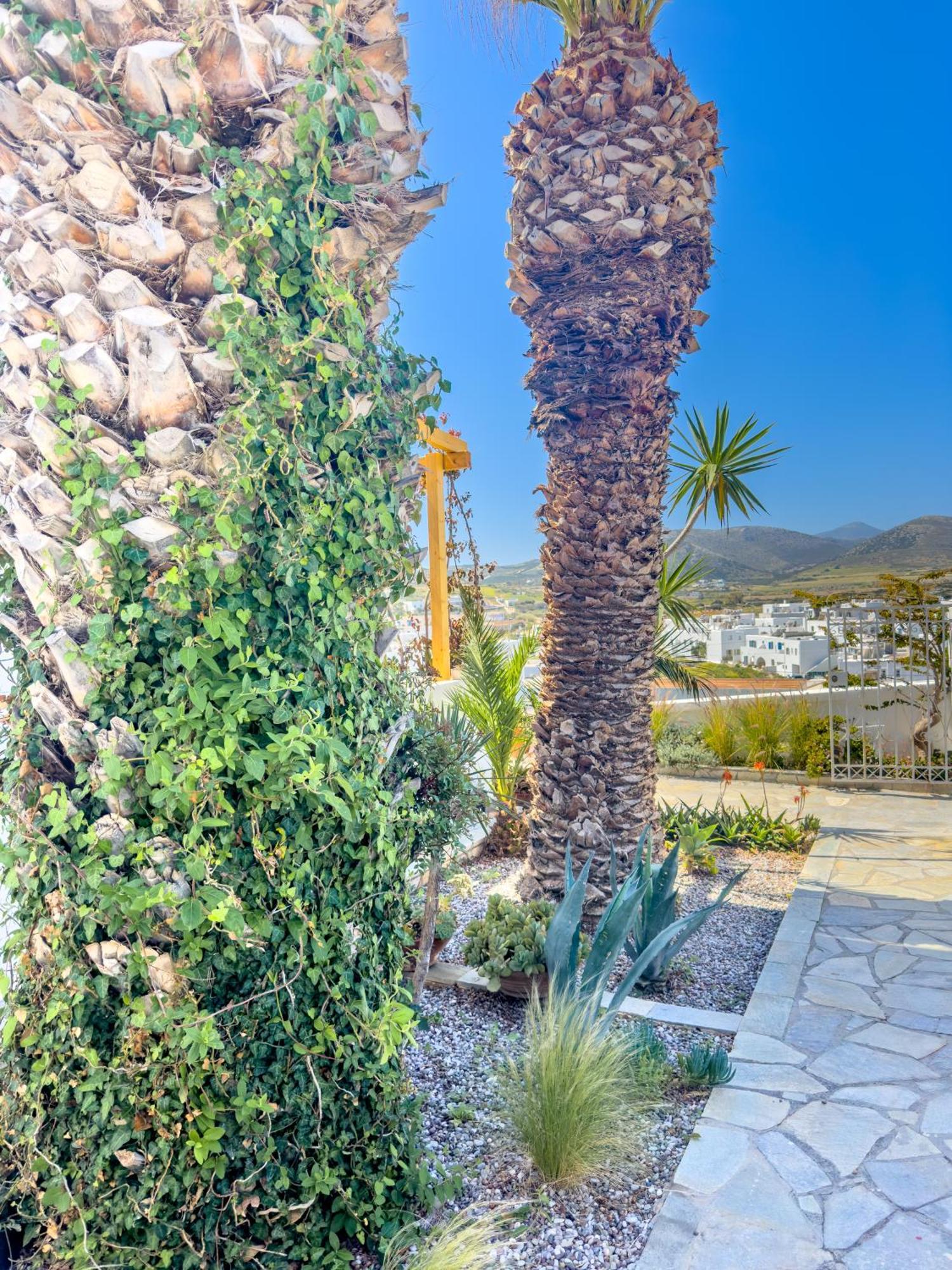 Kefalas Studio In Naousa Luaran gambar